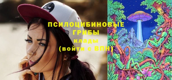 твердый Алзамай