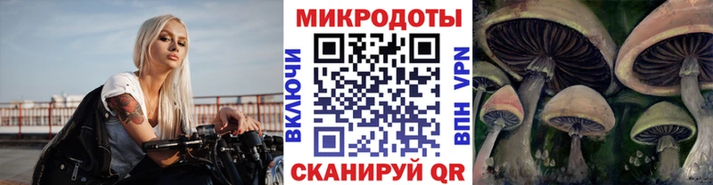 Псилоцибиновые грибы мицелий  Североуральск 