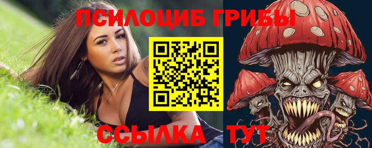 Североуральск  Галлюциногенные грибы мицелий  купить   Вход с VPN 